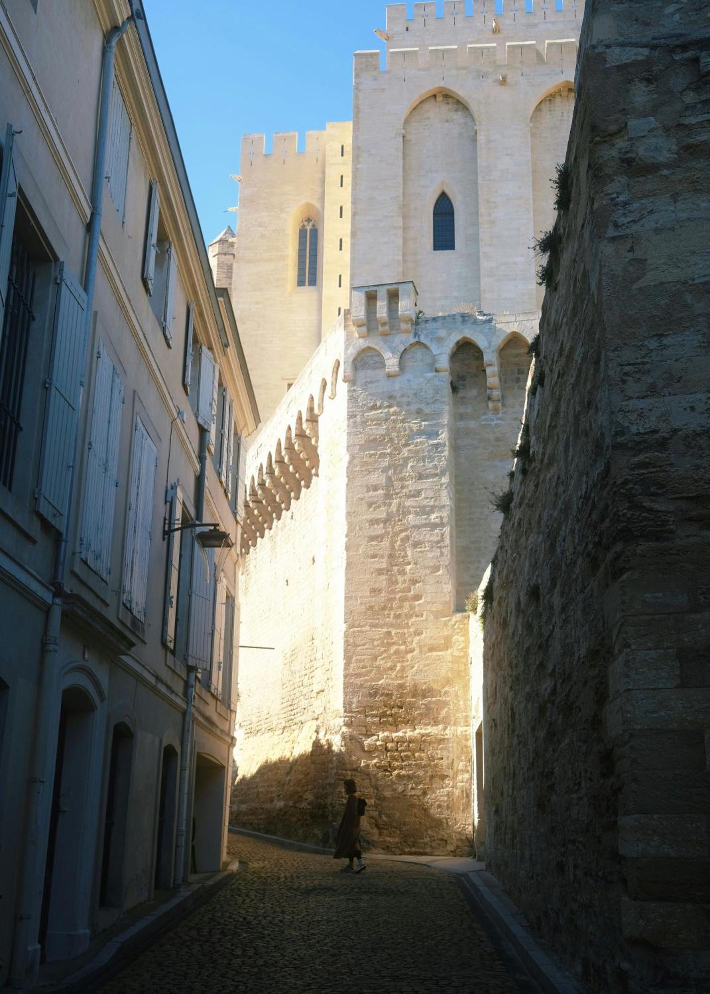 Le Petit Avignon - Chambres & Appartement A Deux Pas Du Pont D'Avignon Et Du Palais Des Papes 외부 사진